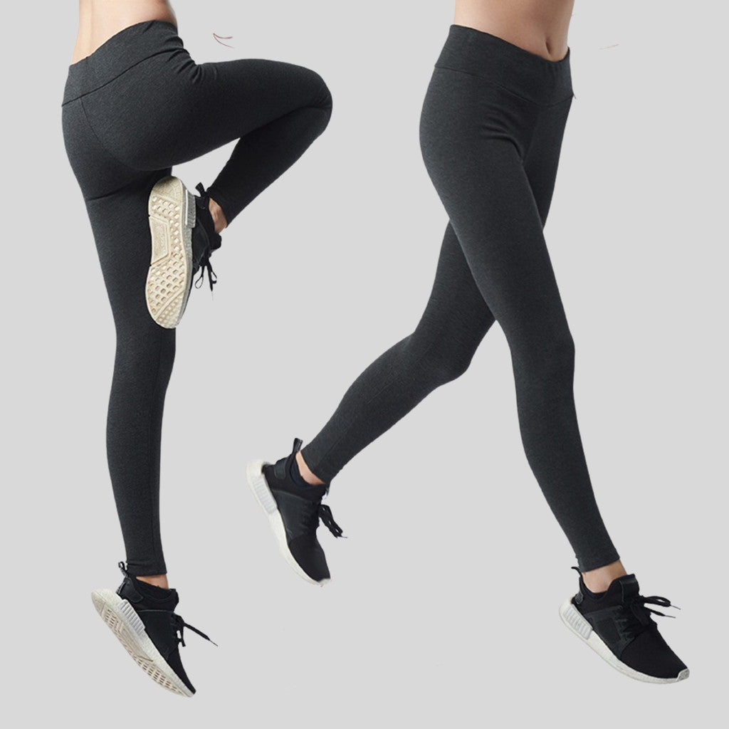 AVIVA New Ava Full Length Tight (86-4042)