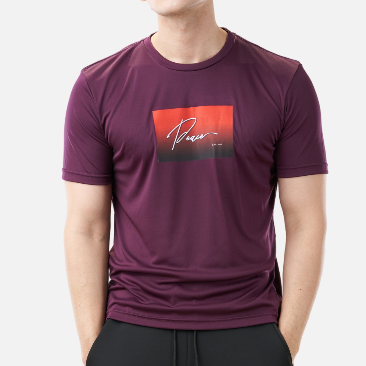 AVIVA Men's Graphic Short Sleeve Tee (91-8048)